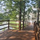 호수공원 이미지