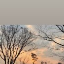 효창서담 이미지