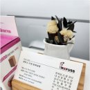 레푸스 호매실점 이미지