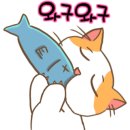 삼층고양이 이미지