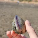 구공스테이 안토이 비토 이미지