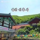 신흥사 | 울산 신흥사 부처님오시는날 후기｜셔틀버스부터 절밥 비빔밥, 팝콘까지