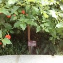 (주)대원농산 이미지