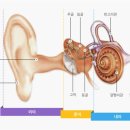 스타키보청기 청주육거리센터 이미지