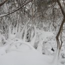 눈꽃여행 이미지