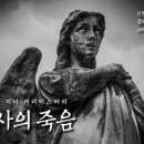 MAPSEE 이미지