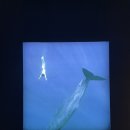 보물섬횟집 이미지