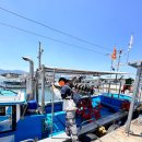 장인호 | [속초고성배낚시] 시간 뚝딱⏱️ 재미보장 💯 장인호배낚시체험 후기