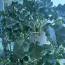 가든타워 이미지