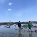 항구마차 화장실 이미지