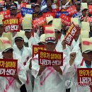 배정현 축산 이미지