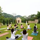 스테이 피크닉 이미지