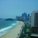 팔레드시즈 이미지