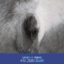 율하시티동물병원 이미지