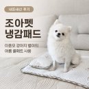 조아펫 냉감패드 내돈내산 후기｜이중모 강아지 별이의 여름 쿨매트 사용기