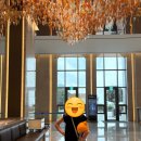 수영새마을금고 노동조합 | 아이랑 제주도 여행, 신화월드 신화관 후기｜워터파크·인피니티풀·놀이공원까지