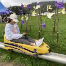 진부(오대산)관광농원 이미지