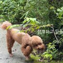 샘골산장 이미지