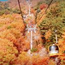 팔공산케이블카 이미지