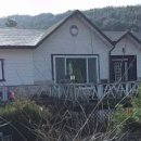 여주-0100 이미지