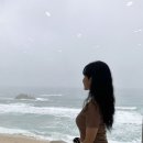 [고성 숙소] 강원도 속초 고성 오션뷰 풀빌라 B303후기 &#34;에이프레임풀빌라&#34;