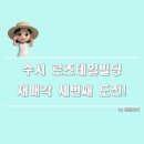 대보빌딩 네이버블로그