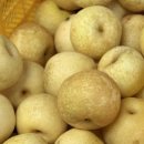 인해농원 이미지