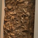 성산패총유물전시관 이미지