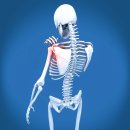 나르샤병원 이미지