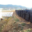 나윤목장 이미지