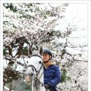 경마공원 이미지