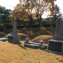 심상우 묘 이미지