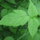 종복농장 이미지