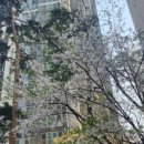 길음역독서논술교습소
