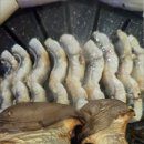 명품민물장어 무한리필 이미지