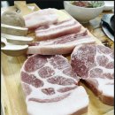 해성도뚜리 이미지