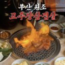 돼지나무 사랑걸렸네 이미지