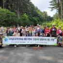 경기산림 이미지