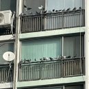 비둘기미용실 이미지