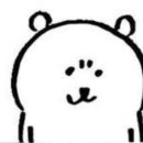 몽땅 펫샾 이미지