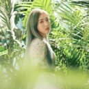 신비해로 이미지