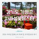 자라섬 꽃축제 2026 자라섬 꽃 페스타 솔직 후기