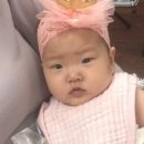 막내목장 이미지