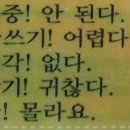 쭈미네 이미지