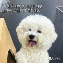 멍스가든