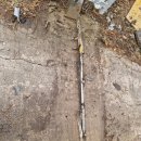 동송농장 이미지