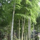 탁구교실B 이미지