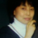 꾸씨