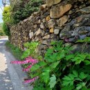 버스정류장 06-052 | [경기 양주] mbc 장수 드라마 촬영지 전원일기 마을 가다/ 금바위 저수지/ 노고산 독재동 암각문/ 전원...