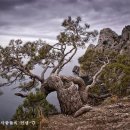 길손이야기 이미지